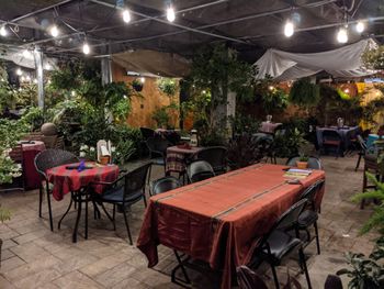 One of the most beautifully quaint and unique venues on the planet, owned and operated by the nicest and kindest souls and their staff.  It is both a fully featured nursery as well as a 5 star restaurant: Origins Cafe.  On this day I was very fortunate to be performing with Michael Benedict on mallets and Evan Jagels on upright bass 4 of 11
