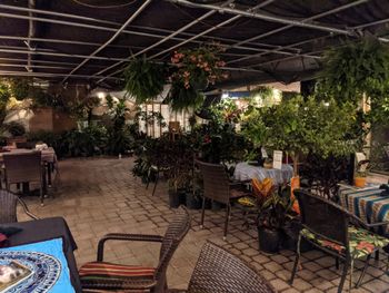One of the most beautifully quaint and unique venues on the planet, owned and operated by the nicest and kindest souls and their staff.  It is both a fully featured nursery as well as a 5 star restaurant: Origins Cafe.  On this day I was very fortunate to be performing with Michael Benedict on mallets and Evan Jagels on upright bass 11 of 11
