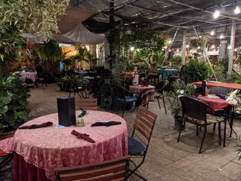 One of the most beautifully quaint and unique venues on the planet, owned and operated by the nicest and kindest souls and their staff.  It is both a fully featured nursery as well as a 5 star restaurant: Origins Cafe.  On this day I was very fortunate to be performing with Michael Benedict on mallets and Evan Jagels on upright bass 9 of 11
