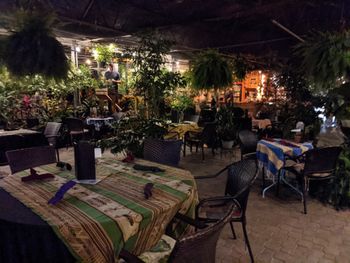 One of the most beautifully quaint and unique venues on the planet, owned and operated by the nicest and kindest souls and their staff.  It is both a fully featured nursery as well as a 5 star restaurant: Origins Cafe.  On this day I was very fortunate to be performing with Michael Benedict on mallets and Evan Jagels on upright bass 10 of 11
