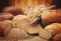 Bread of Life: The Heart of Abundance