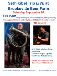 Seth Kibel Trio