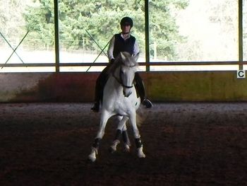 Favory Pelaina, owner Gayla Edwards

