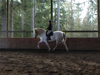 Isabella, owner Connie Landstrom
