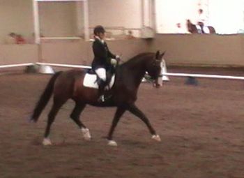 gio_trot
