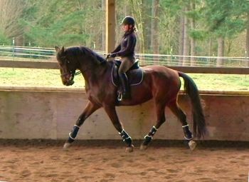 Danica_Yates__Schooling
