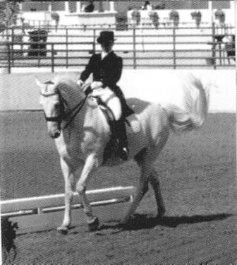 Schmel'ze, FEI Young Riders Champion, Del Mar Nationals
