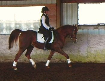 Diamond, owner Claudia Salzer
