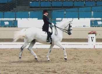 Schmel'ze, FEI Young Rider Champion, Del Mar Nationals
