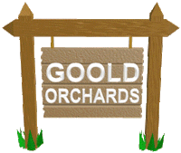 the REVERBERATORS at Goold Orchard Apple Festival