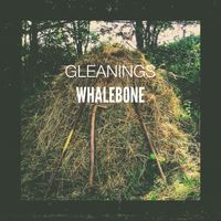 Gleanings by Whalebone
