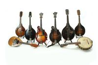 Buddy Merriam Mandolin Concert