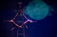 Circus Luminous