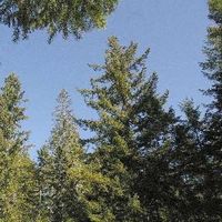 Music on the Hill - Tall Timbers Presents 