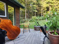 JESTER FRETLESS