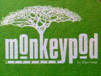 Monkeypod Monday w/ TC!