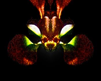 astromouse    10x8
