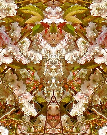 dormouse    8x10
