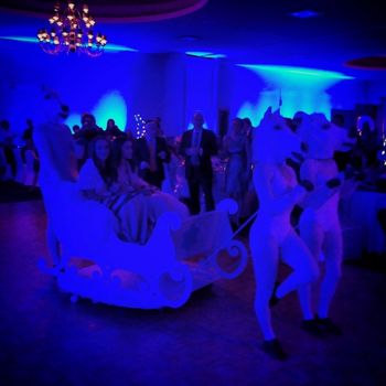 Starkman Bat Mitzvah for twins; Winter Theme January 9, 2015
