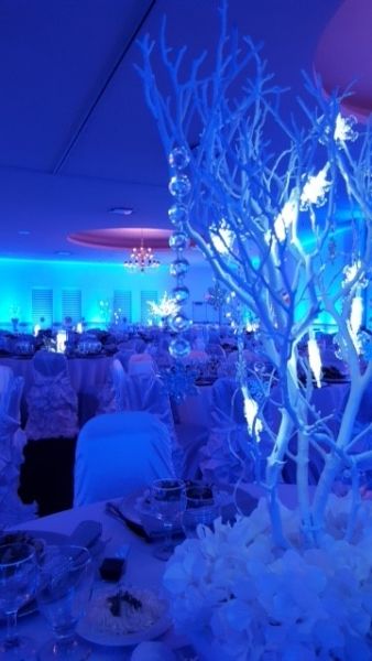 Starkman Bat Mitzvah for twins; Winter Theme January 9, 2015
