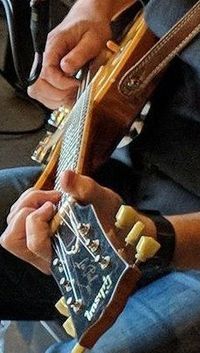 Electrified Delta Blues