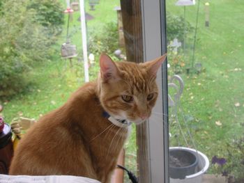 Assorted_Photos_039
