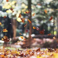 Beautiful Change by Mary Lydia Ryan