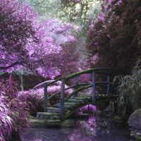 Week 7 - Self Compassion by Mary Lydia Ryan