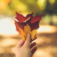 Embrace Change by Mary Lydia Ryan