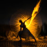 Warrior Woman by Mary Lydia Ryan