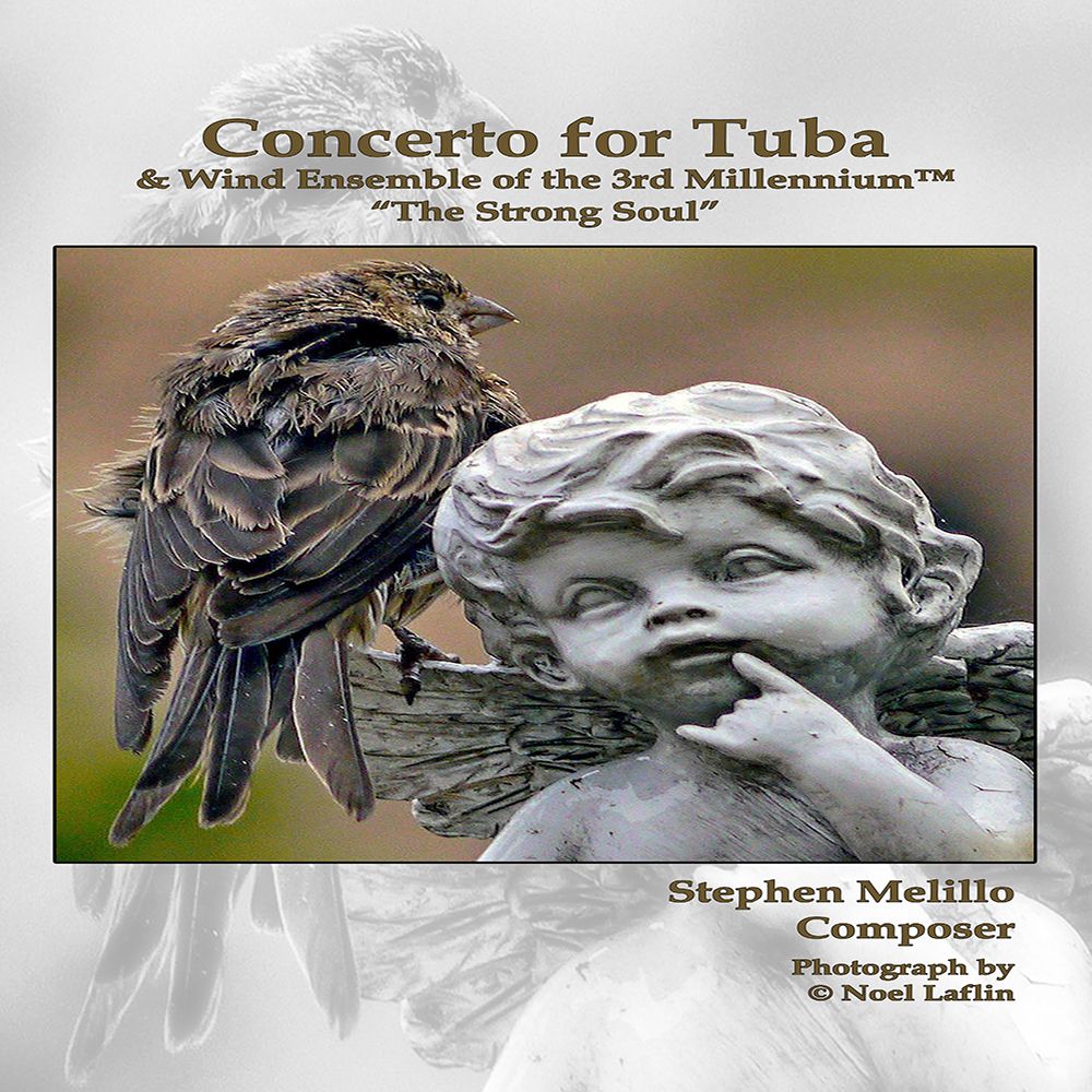 Concert for Tuba, The Strong Soul