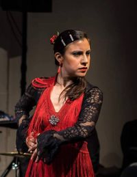 ¡Fiesta Flamenca!