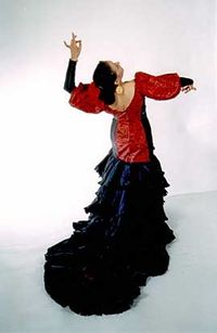 Sol y Sombra Spanish Dance Company