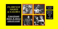Flamenco Nights at Galeria