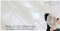 Flamenco in Delft-"Perlas Escondidas"