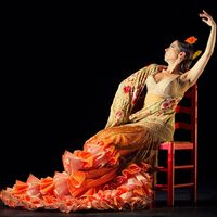 THE ART OF FLAMENCO