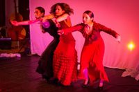 Clinard Dance Theatre, Flamenco Pilsen Summer Culmination Event