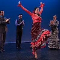 FLAMENCO VIVO AT BATTERY DANCE