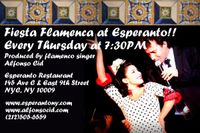 ¡Fiesta Flamenca!