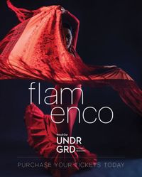 Flamenco at Knock Out Café