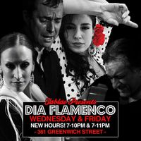 Día Flamenco