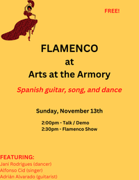 JANI RODRIGUES FLAMENCO SHOW