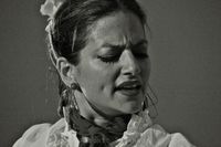 Flamenco Dinner Show with Flamenco y Sol