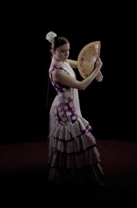 ¡Fiesta Flamenca!
