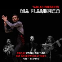 Isabel del Día Flamenco