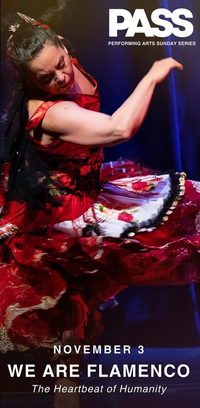 We Are Flamenco