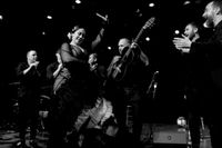 David Broza & Friends, 2019 OFJCC Annual Benefit