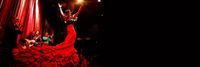 Zorongo Flamenco