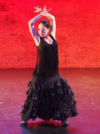¡Fiesta Flamenca!
