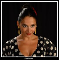 ¡Fiesta Flamenca!